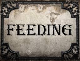 Feeding